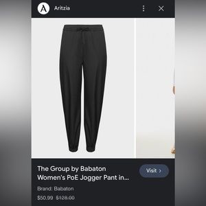 Aritzia/Babaton “PoE” jogger pants